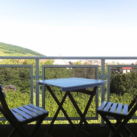 Au Coeur Du Vignoble Panzió Orschwiller Kültér fotó