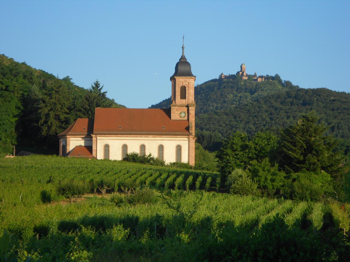 Au Coeur Du Vignoble Panzió Orschwiller Kültér fotó